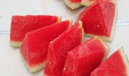 今日吃瓜每日大赛 今日吃瓜每日必吃